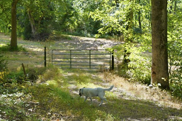 4854 Rock House Rd, Portland, TN 37148