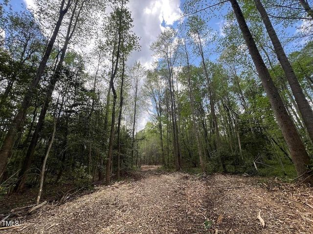 0 Red Road, Nashville, NC 27856