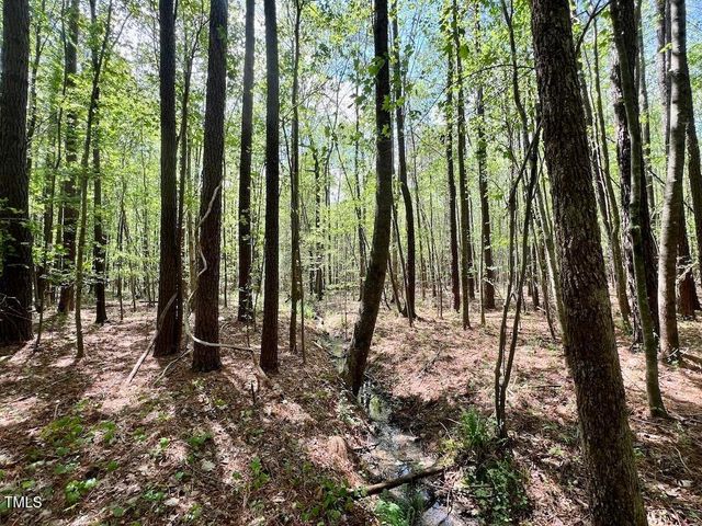 0 Red Road, Nashville, NC 27856