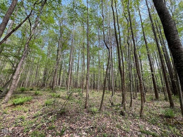 0 Red Road, Nashville, NC 27856