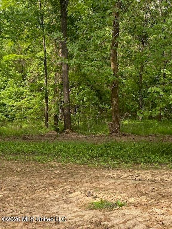 2085 Prichard Road, Coldwater, MS 38618 — photo 3
