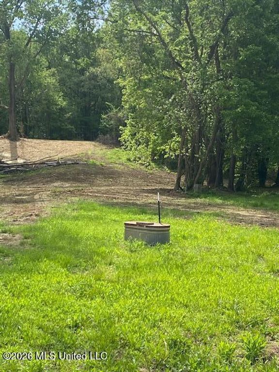 2085 Prichard Road, Coldwater, MS 38618 — photo 5
