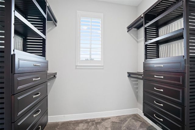 12530 CLIMBING VINE COURT, Windermere, FL 34786