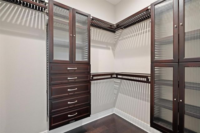 12530 CLIMBING VINE COURT, Windermere, FL 34786