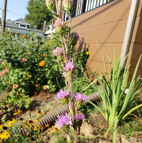 2620 Lyle Avenue, Maplewood, MO 63143