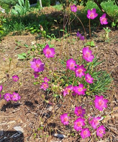 2620 Lyle Avenue, Maplewood, MO 63143