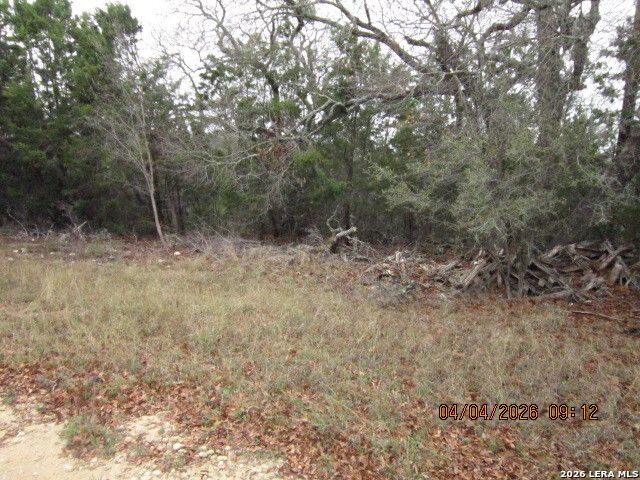 959 ALAMO BEACH RD, Pipe Creek, TX 78063