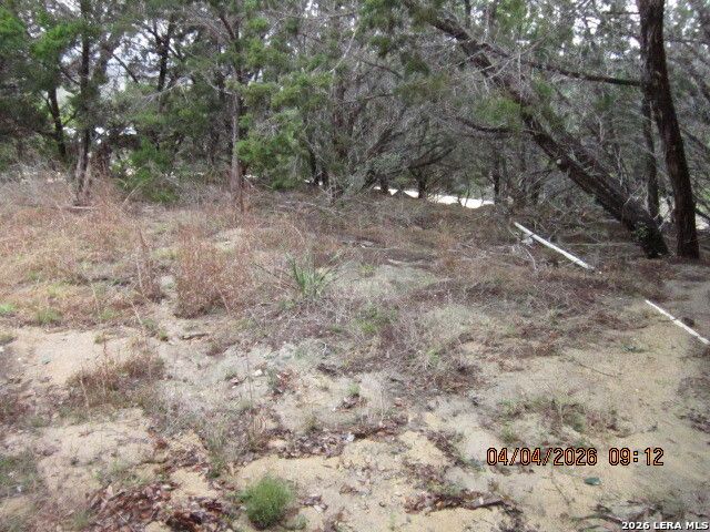 959 ALAMO BEACH RD, Pipe Creek, TX 78063