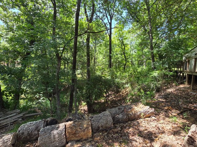 2205 Hickory Street, Mabank, TX 75156