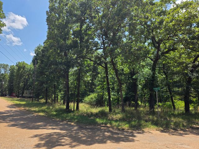 2205 Hickory Street, Mabank, TX 75156