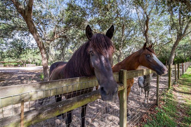 10740 JIM EDWARDS ROAD, Haines City, FL 33844