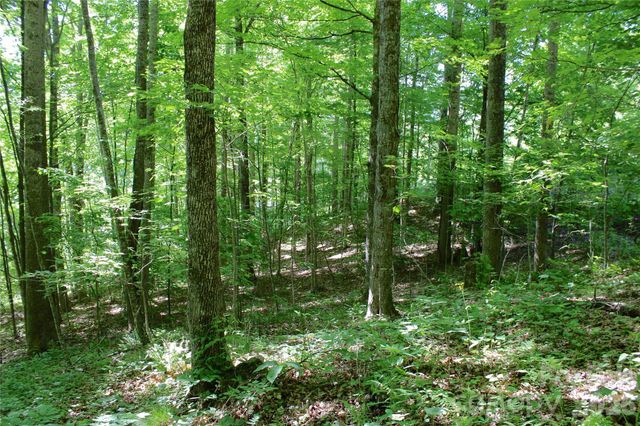 00 Wildwood Drive, Burnsville, NC 28714