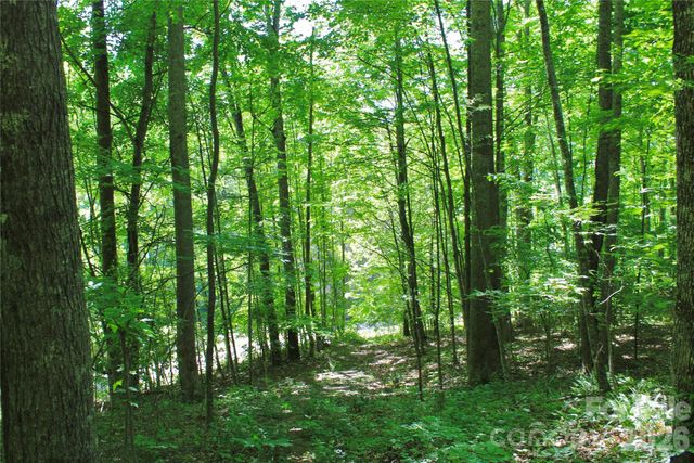 00 Wildwood Drive, Burnsville, NC 28714