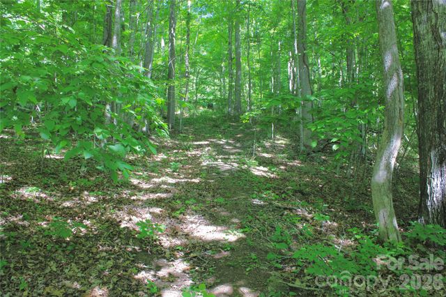 00 Wildwood Drive, Burnsville, NC 28714