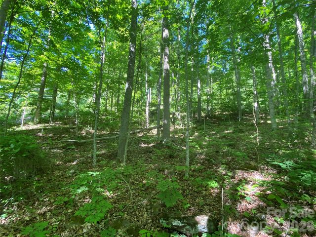00 Wildwood Drive, Burnsville, NC 28714