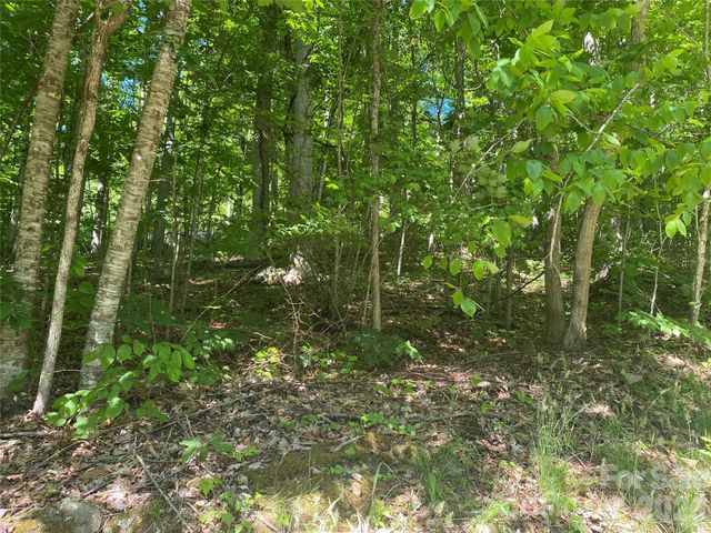 00 Wildwood Drive, Burnsville, NC 28714