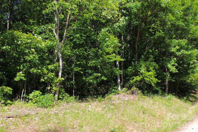 00 Wildwood Drive, Burnsville, NC 28714
