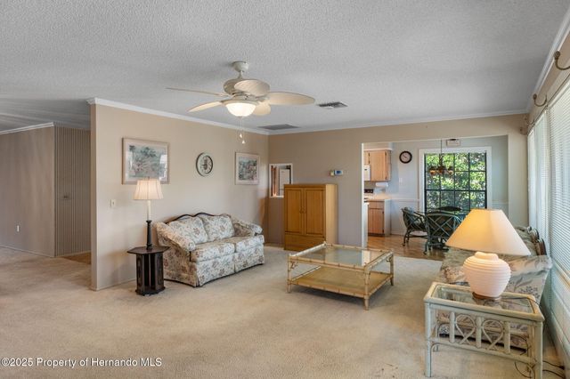 2221 Timber Lodge Lane, Spring Hill, FL 34606