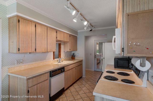 2221 Timber Lodge Lane, Spring Hill, FL 34606