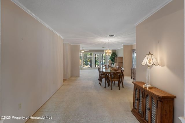 2221 Timber Lodge Lane, Spring Hill, FL 34606