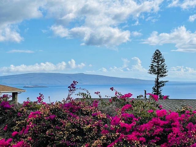 614 Kupulau Pl, Kihei, HI 96753