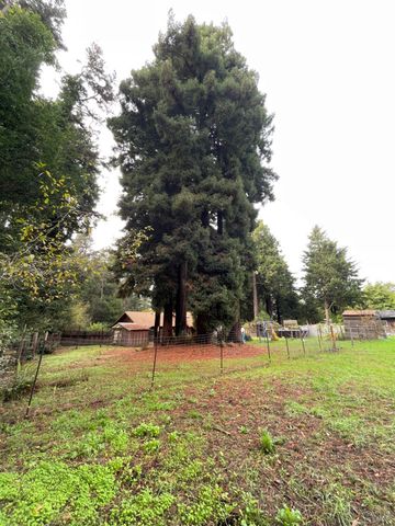 14875 Atkins Way, Fort Bragg, CA 95437