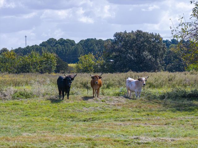 479 VZCR 1504, Van, TX 75790