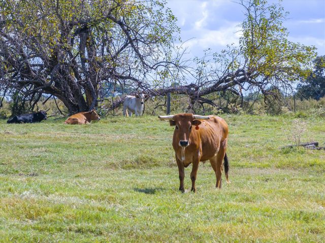 479 VZCR 1504, Van, TX 75790