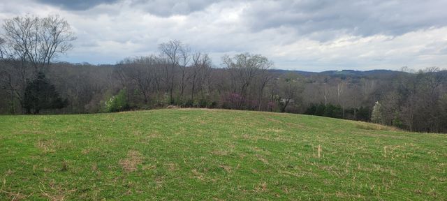 1 Haley Rd, College Grove, TN 37046