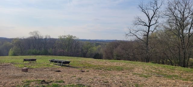1 Haley Rd, College Grove, TN 37046
