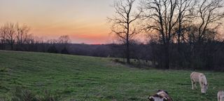 1 Haley Rd, College Grove, TN 37046