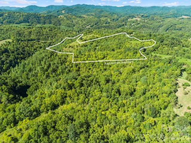1231 Baileys Branch Road 3, Marshall, NC 28753