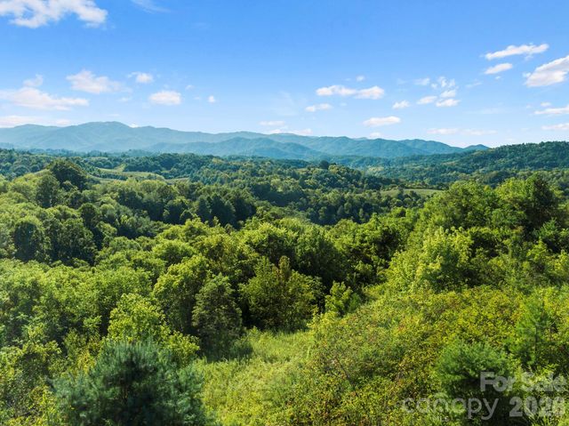 1231 Baileys Branch Road 3, Marshall, NC 28753