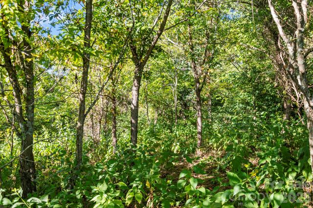 1231 Baileys Branch Road 3, Marshall, NC 28753