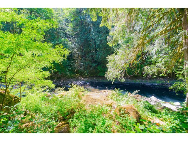 25815 Ne LUCIA FALLS Rd, Yacolt, WA 98675