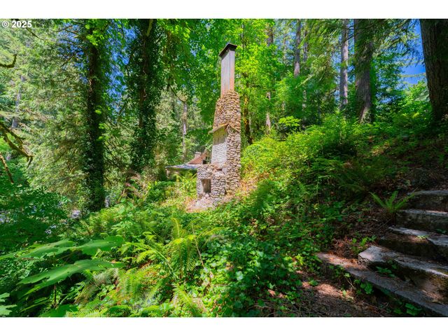 25815 Ne LUCIA FALLS Rd, Yacolt, WA 98675