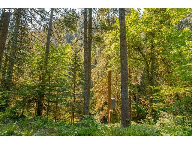 25815 Ne LUCIA FALLS Rd, Yacolt, WA 98675