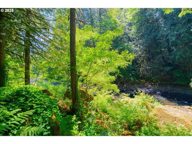 25815 Ne LUCIA FALLS Rd, Yacolt, WA 98675
