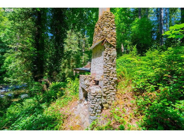 25815 Ne LUCIA FALLS Rd, Yacolt, WA 98675