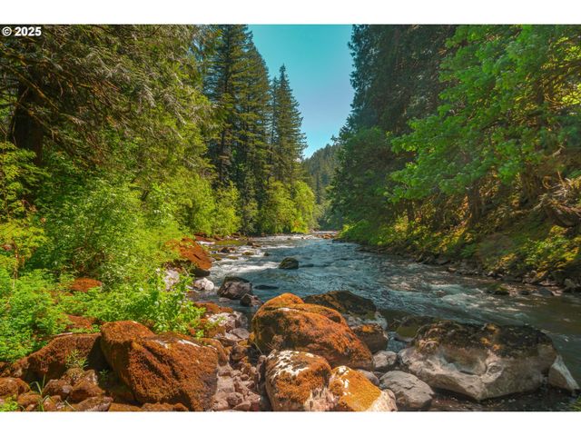 25815 Ne LUCIA FALLS Rd, Yacolt, WA 98675