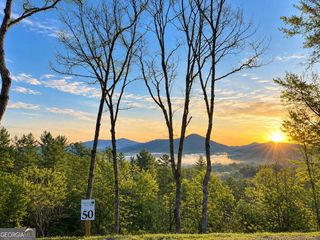 50 Mountain Laurel Ridge, Mineral Bluff, GA 30559