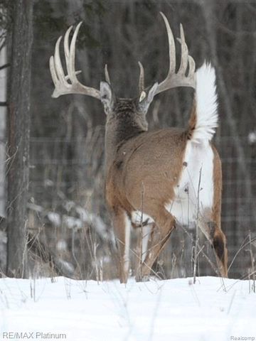 1286 Gray Fox Court, Howell, MI 48843