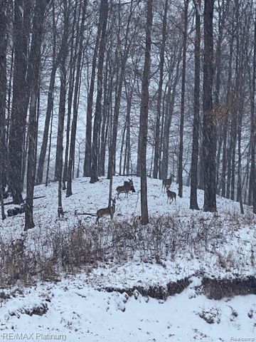 1286 Gray Fox Court, Howell, MI 48843