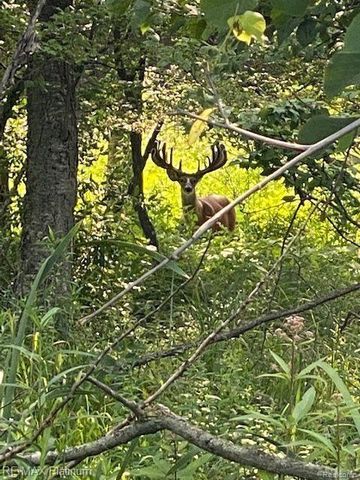 1286 Gray Fox Court, Howell, MI 48843