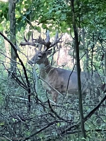 1286 Gray Fox Court, Howell, MI 48843