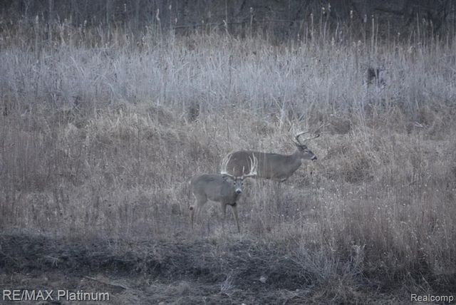 1286 Gray Fox Court, Howell, MI 48843