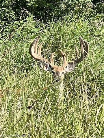 1286 Gray Fox Court, Howell, MI 48843