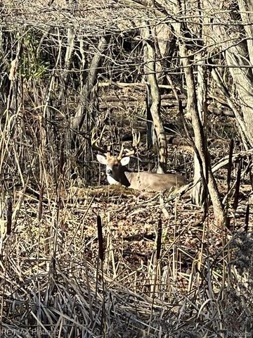 1286 Gray Fox Court, Howell, MI 48843