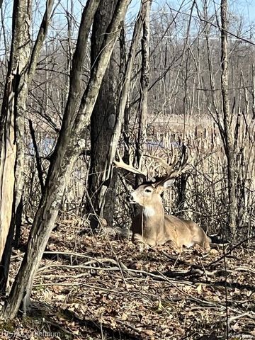 1286 Gray Fox Court, Howell, MI 48843