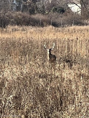 1286 Gray Fox Court, Howell, MI 48843